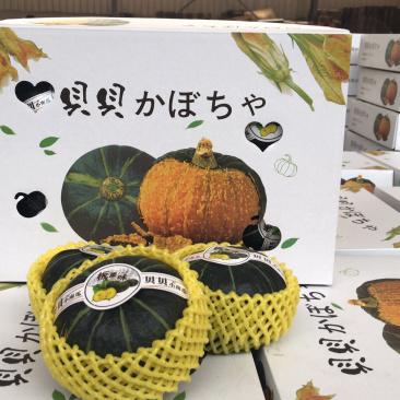 山东贝贝南瓜，全年365天持续供应，支持所有渠道！