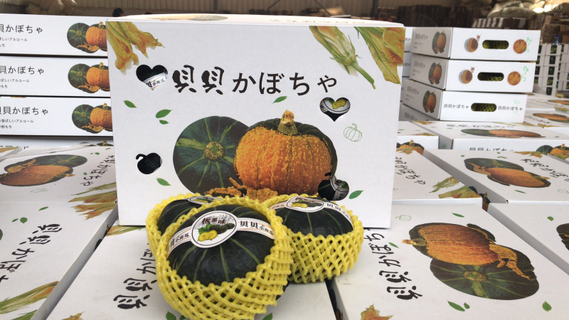 山东贝贝南瓜，全年365天持续供应，支持所有渠道！