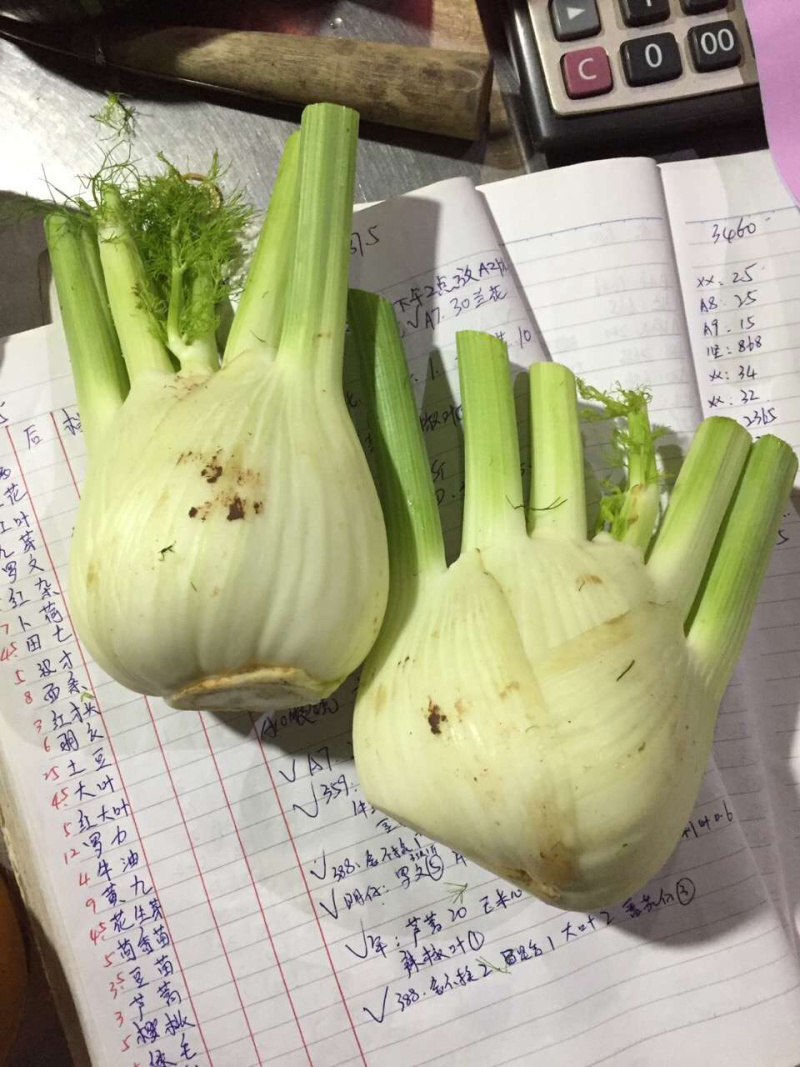 根茎类