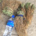 龙胆草龙胆草龙胆草草