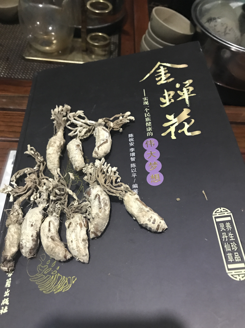 金蝉花精品知了花2024年选货