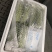 【一件代发】5斤包邮烟台水果黄瓜支持电商微商社团