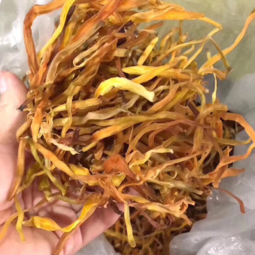黄花菜