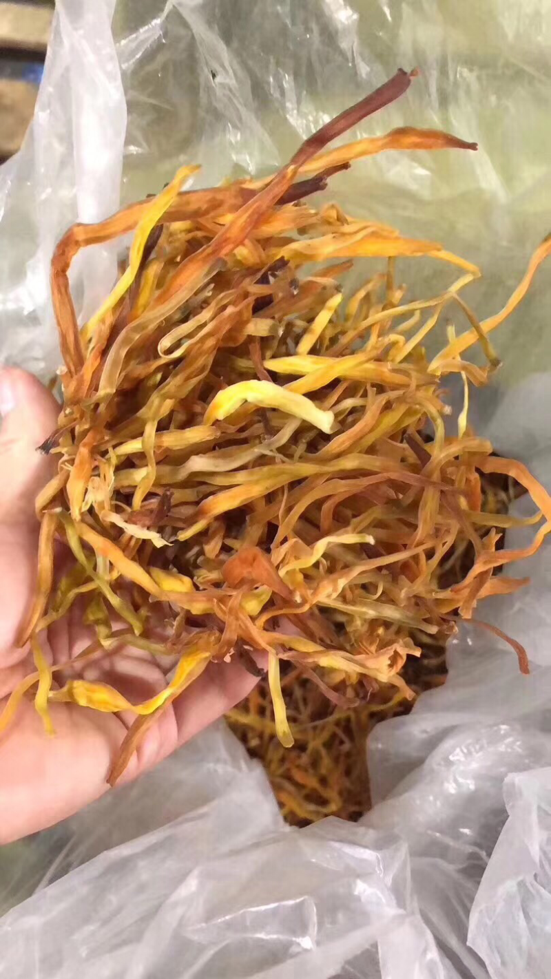 黄花菜