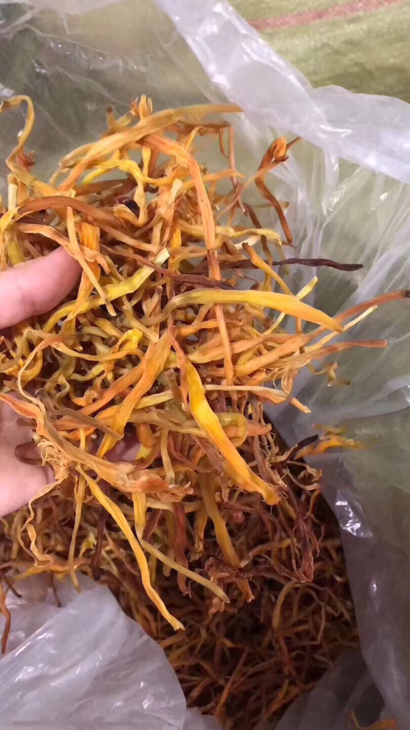 黄花菜