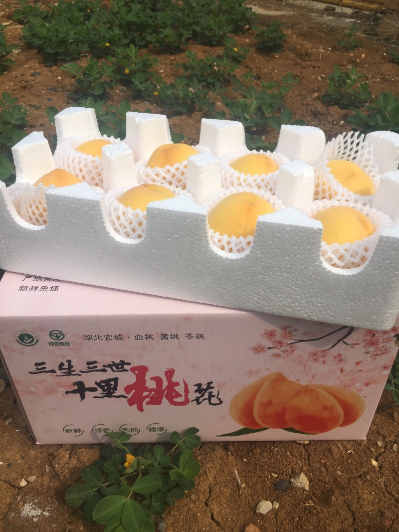 【三生三世】水果黄桃净重4.5斤网红直播电商微商供应链