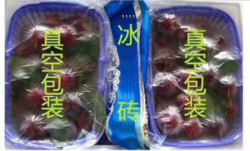 杨梅上市了