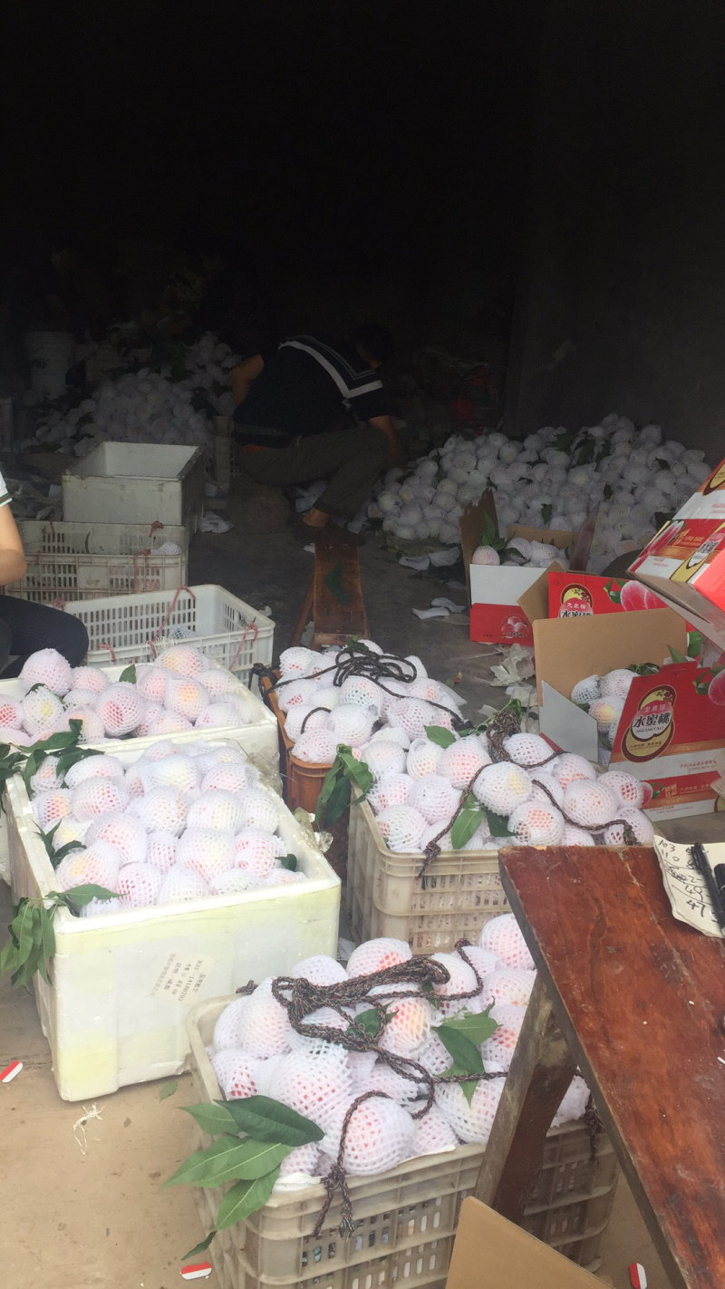 龙泉水蜜桃一件代发支持落地配