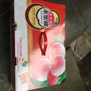龙泉水蜜桃一件代发支持落地配