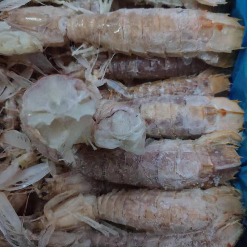 虾蛄冷冻皮皮虾特大号濑尿虾虾蛄冷冻毛重6斤一件