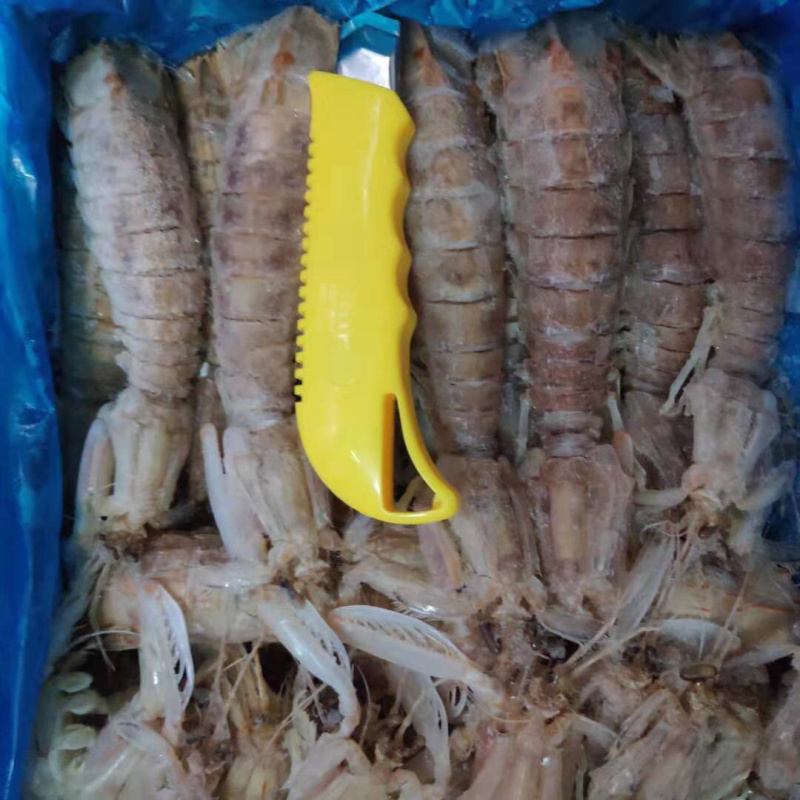 虾蛄冷冻皮皮虾特大号濑尿虾虾蛄冷冻毛重6斤一件