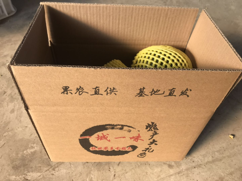 山东贝贝南瓜，全年365天持续供应，支持所有渠道！