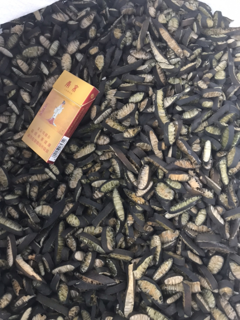 海茸