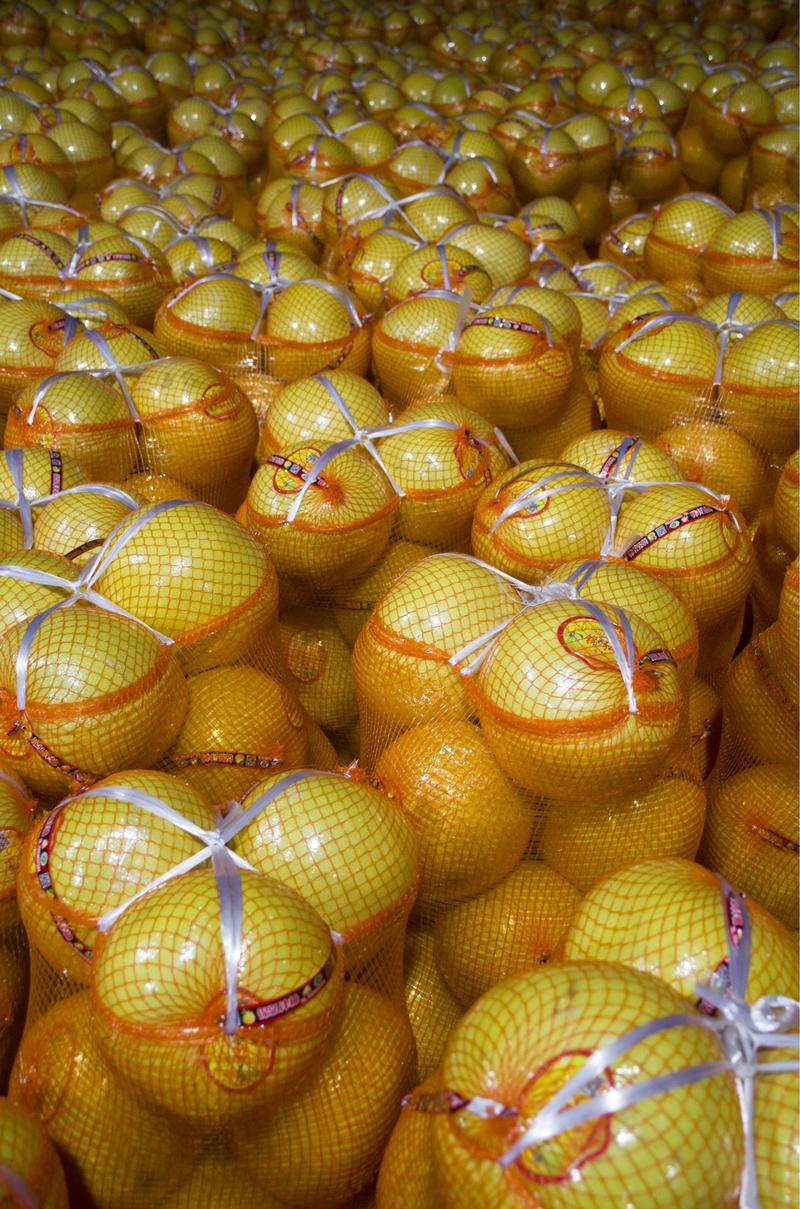 【热销蜜柚】平和琯溪柚子白柚产地直供新鲜发货