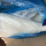 浅腌真鳕鱼片500-1000g，1000+规格