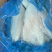 浅腌真鳕鱼片500-1000g，1000+规格