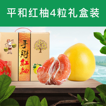 平和琯溪蜜柚四粒装礼盒装现采现发新鲜水果