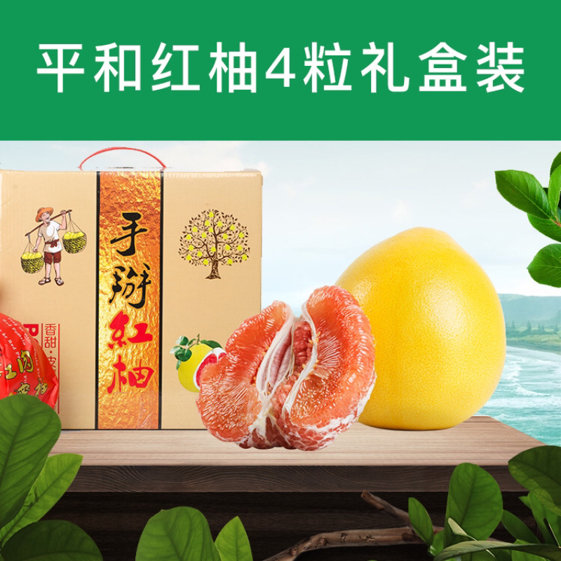 平和琯溪蜜柚四粒装礼盒装现采现发新鲜水果