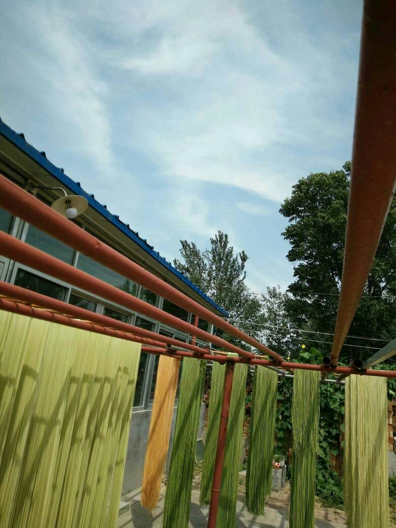 山东德州市夏津县面条批发_赵奎伟供应_一亩