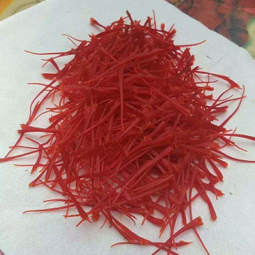 藏红花-自家种植