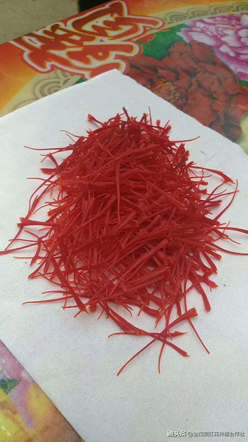 藏红花-自家种植