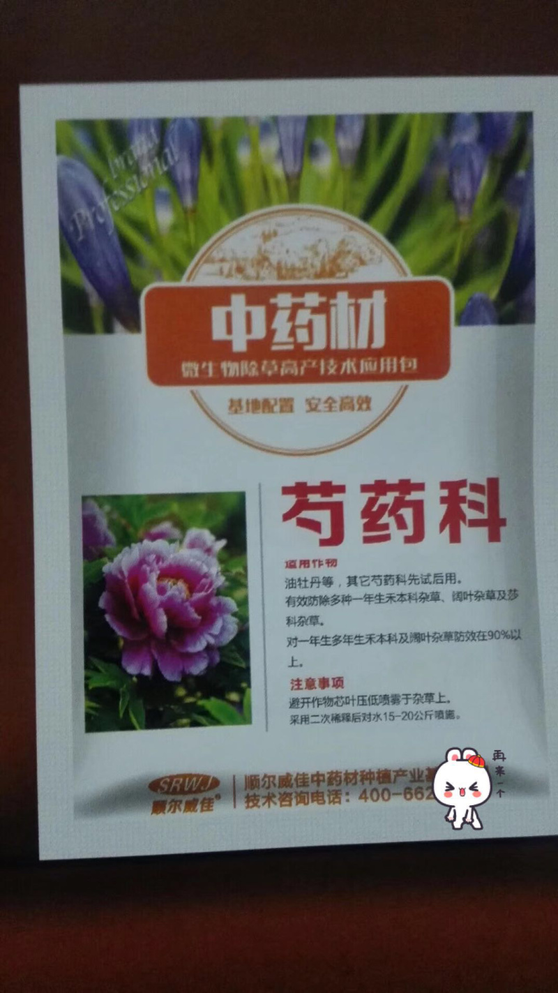 芍药苗，赤芍苗，改良赤芍种苗价格，白花赤芍苗批发