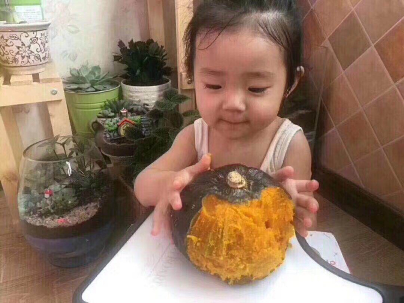 进口奶油贝贝南瓜🎃保证口感一件代发
