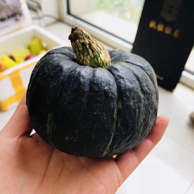 进口奶油贝贝南瓜🎃保证口感一件代发