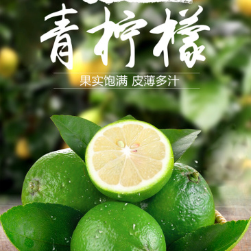 【一件代发】青柠檬3斤大果量大从优包邮到家
