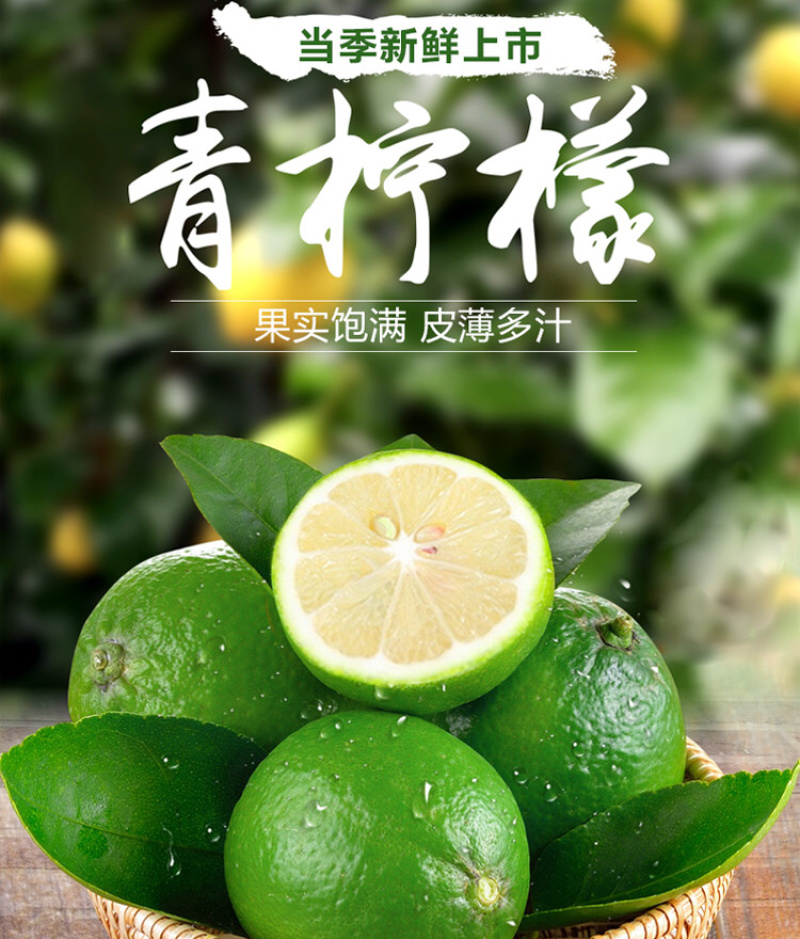 【一件代发】青柠檬5斤大果量大从优新鲜包邮
