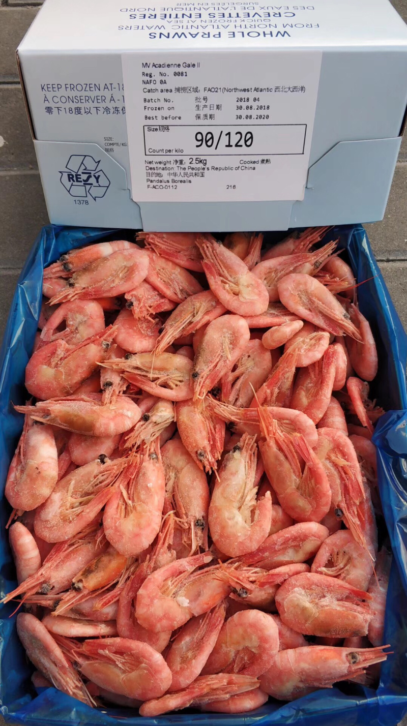 北极虾
