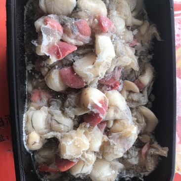 原浆扇贝肉