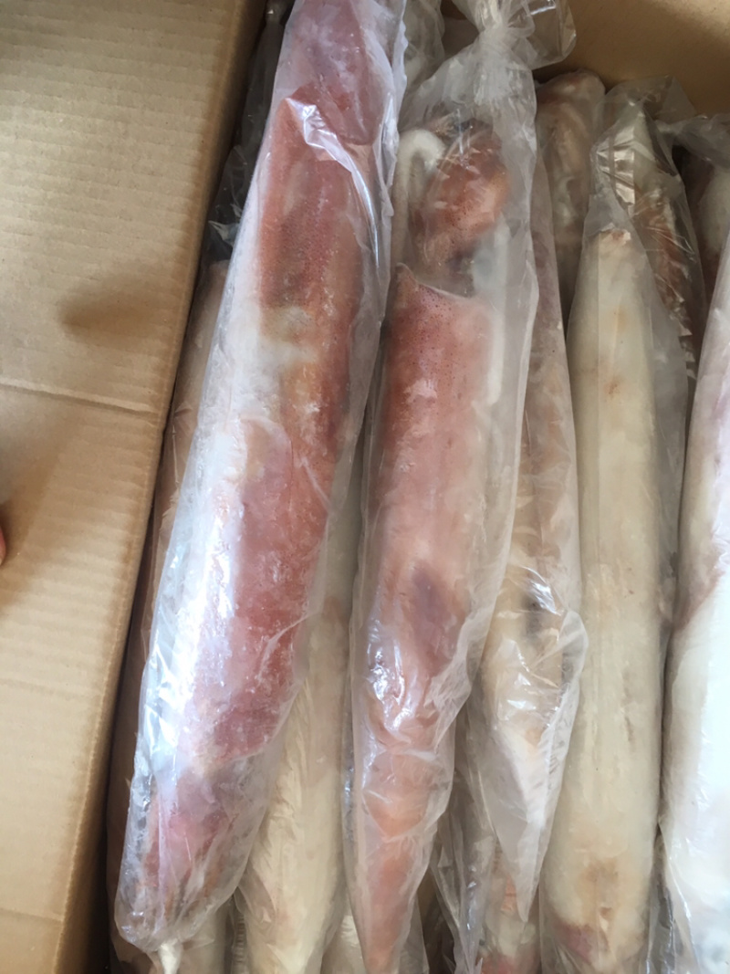 鱿鱼、大管、手钓活鱿鱼、料理刺身店、酒店、会所。。