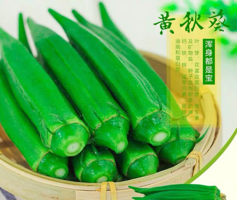 新鲜露天鲜嫩水果黄秋葵蔬菜现摘现发坏老包赔