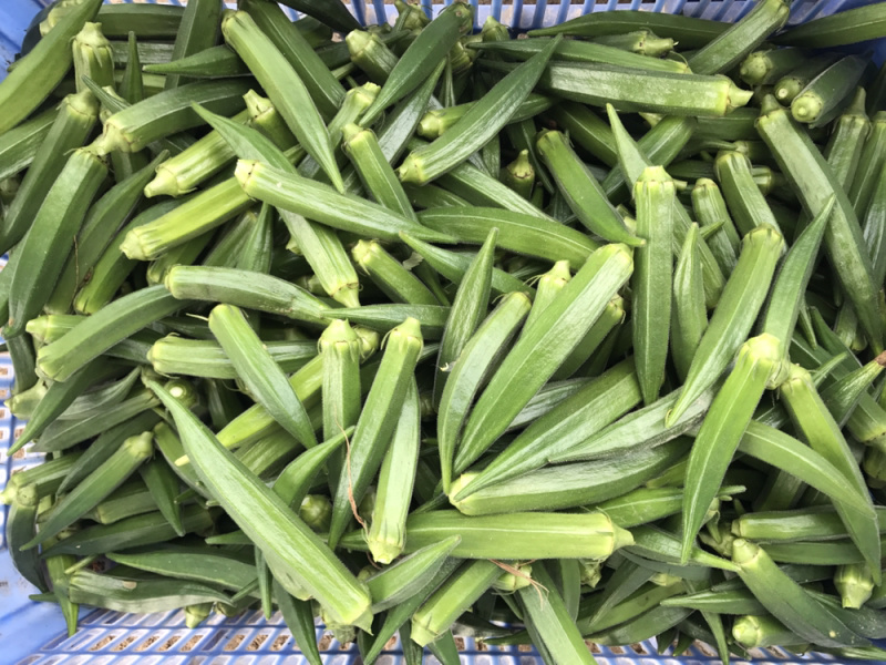 新鲜露天鲜嫩水果黄秋葵蔬菜现摘现发坏老包赔