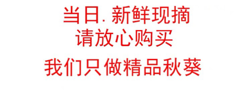 新鲜露天鲜嫩水果黄秋葵蔬菜现摘现发坏老包赔