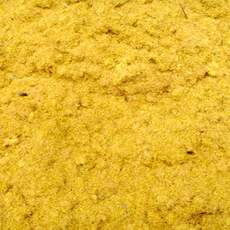 野生蒲黄