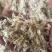 烘干生虾皮