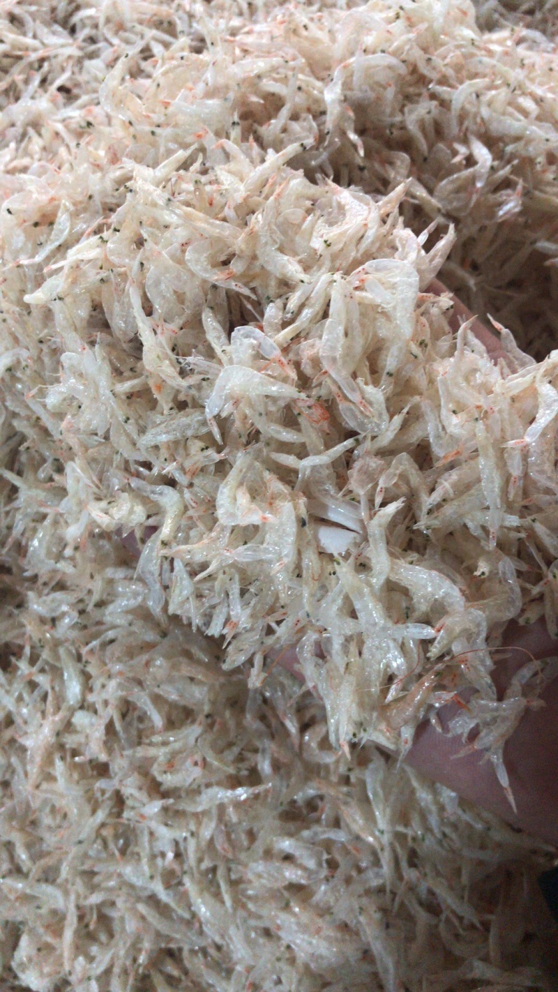 烘干生虾皮