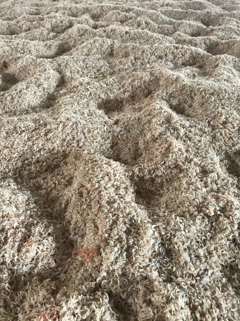 烘干生虾皮