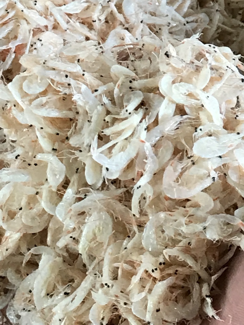 烘干生虾皮