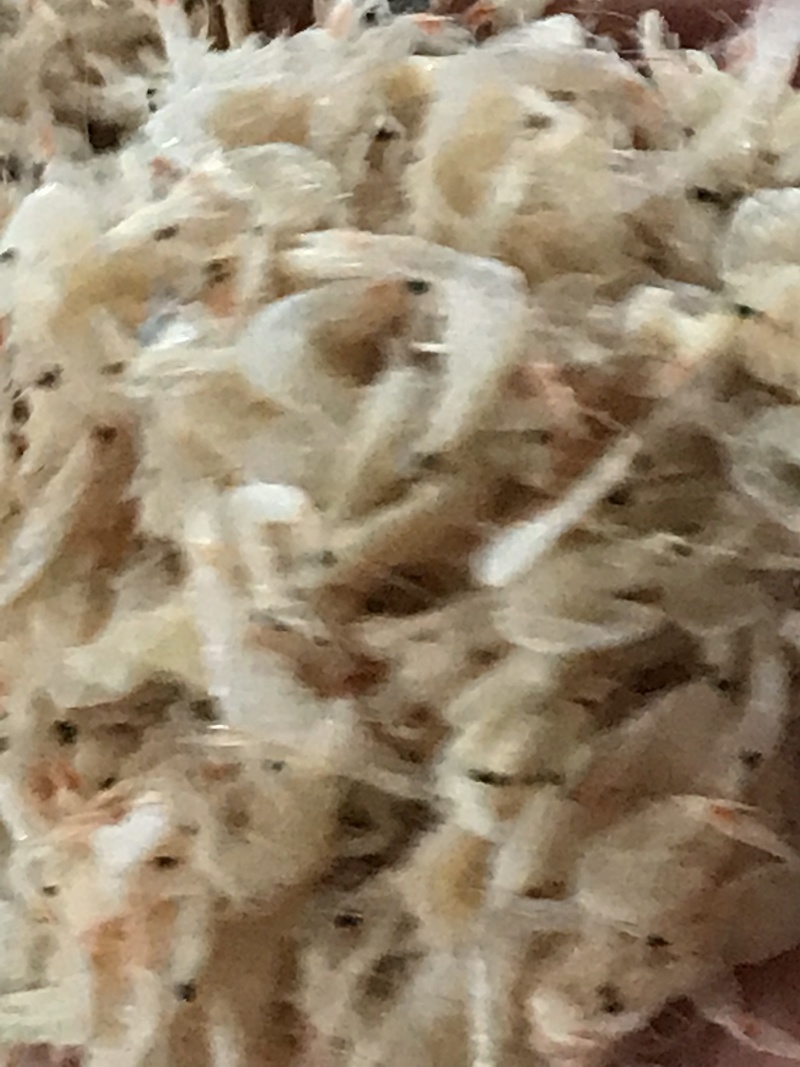 烘干生虾皮