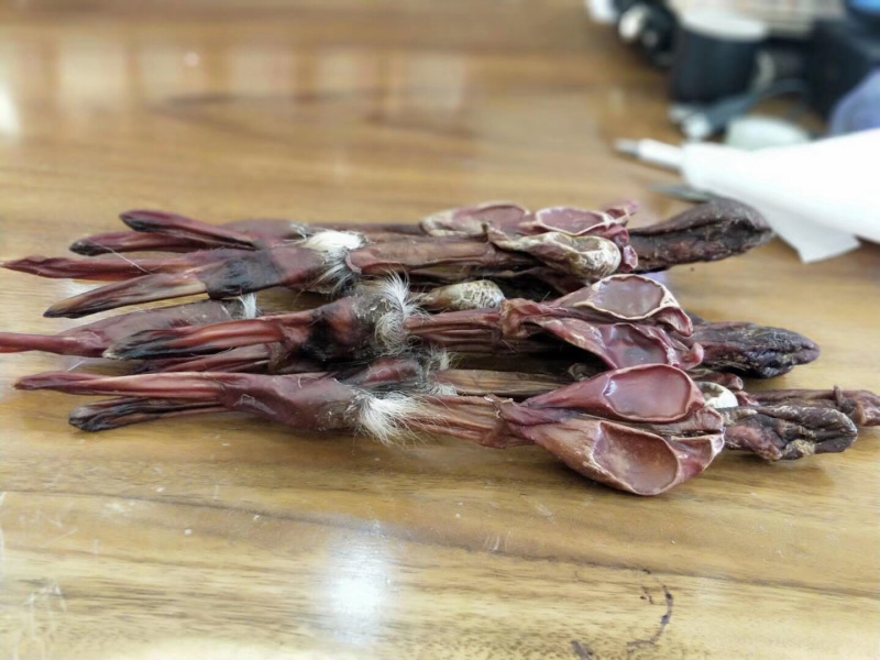 梅花鹿鹿鞭整鞭未切割