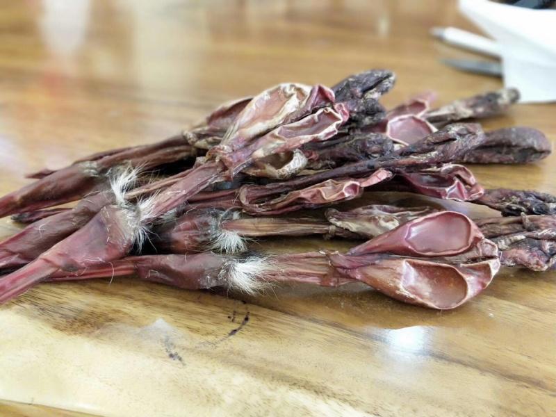 梅花鹿鹿鞭整鞭未切割