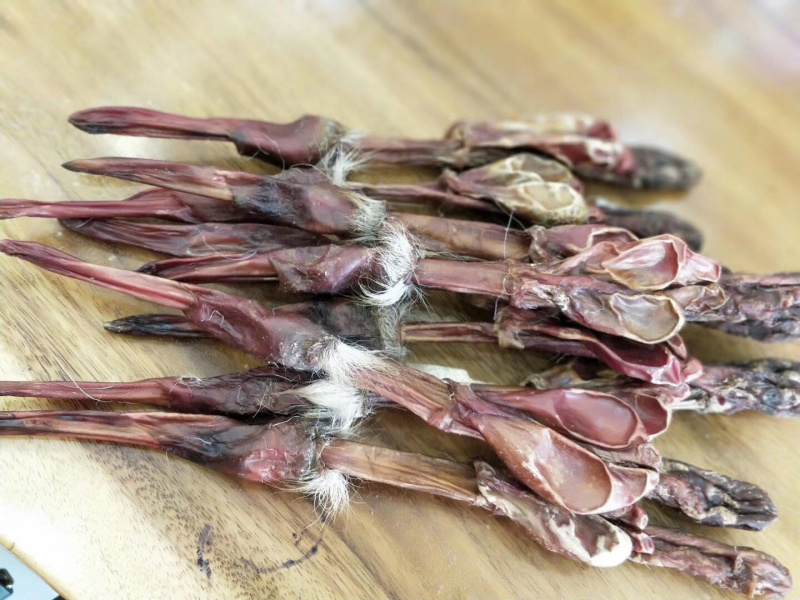 梅花鹿鹿鞭整鞭未切割