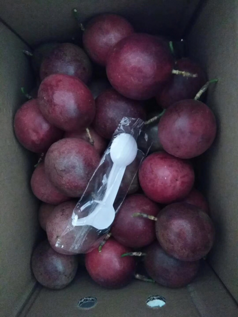 百香果