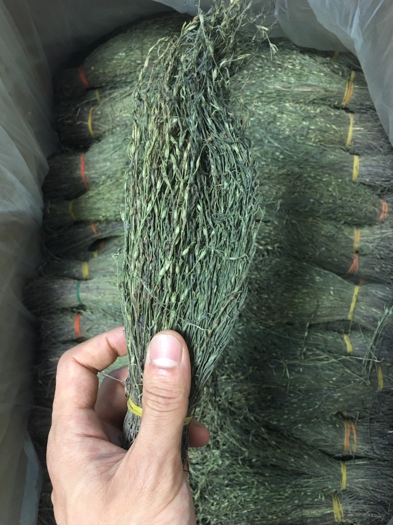 独脚金，精品，软支细脚，新货，大量有货，欢迎联系