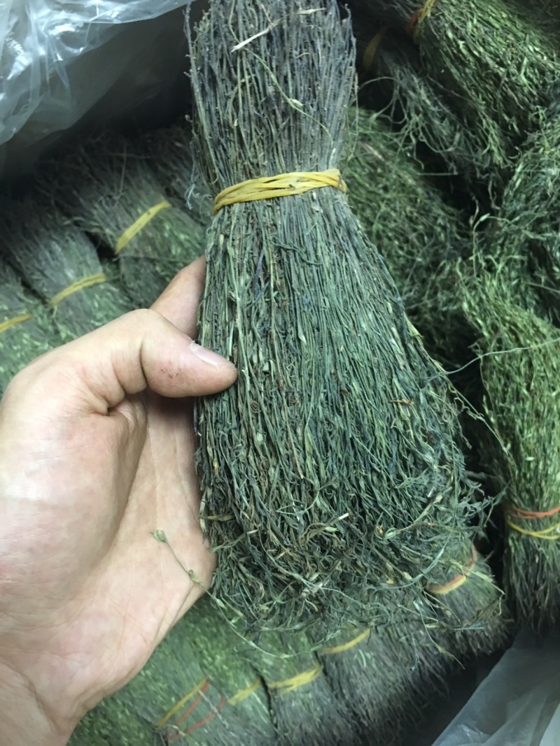 独脚金，精品，软支细脚，新货，大量有货，欢迎联系