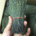 独脚金，精品，软支细脚，新货，大量有货，欢迎联系
