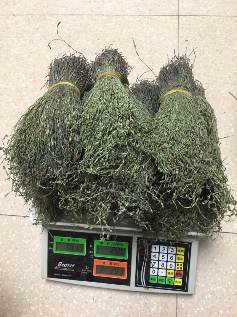 独脚金，精品，软支细脚，新货，大量有货，欢迎联系